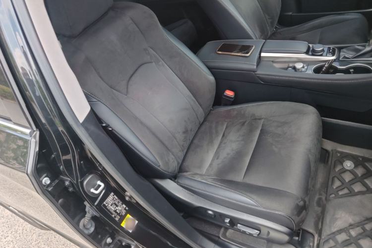 Used Lexus RX 2016 300 Two-Wheel Drive Elite Edition China VI Standard Right Front Seat