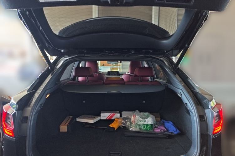Used Lexus RX 2016 300 4x4 F SPORT Version China V Standard Trunk