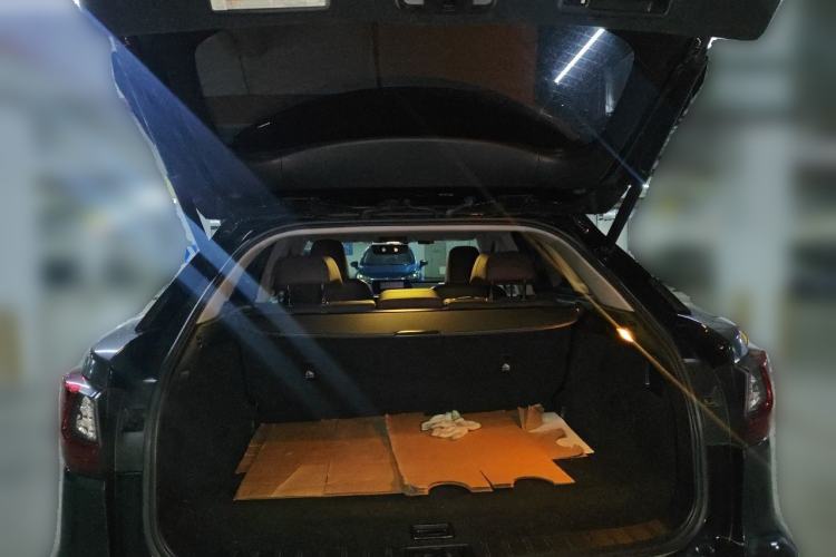 Used Lexus RX 2016 300 4x4 Elegant Edition China V-standard Trunk