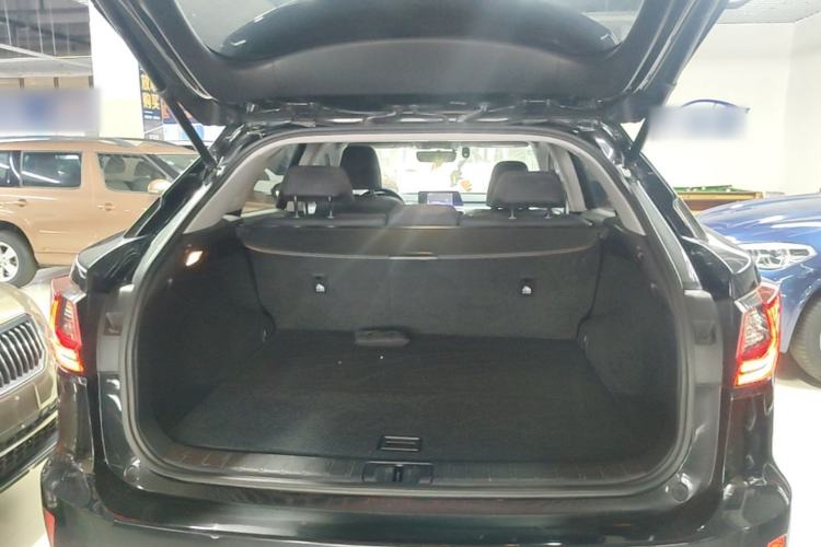 Used Lexus RX 2016 300 Two-Wheel Drive Elite Edition China VI Standard Trunk