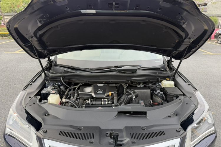 Used Lexus RX 2016 300 Two-Wheel Drive Elite Version China V Standard Engine Bay