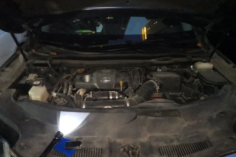 Used Lexus RX 2016 300 Two-Wheel Drive Comfort Edition China VI Standard Engine Bay