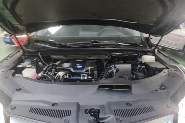 Used Lexus RX 2016 300 Two-Wheel Drive Elite Version China V Standard Engine Bay