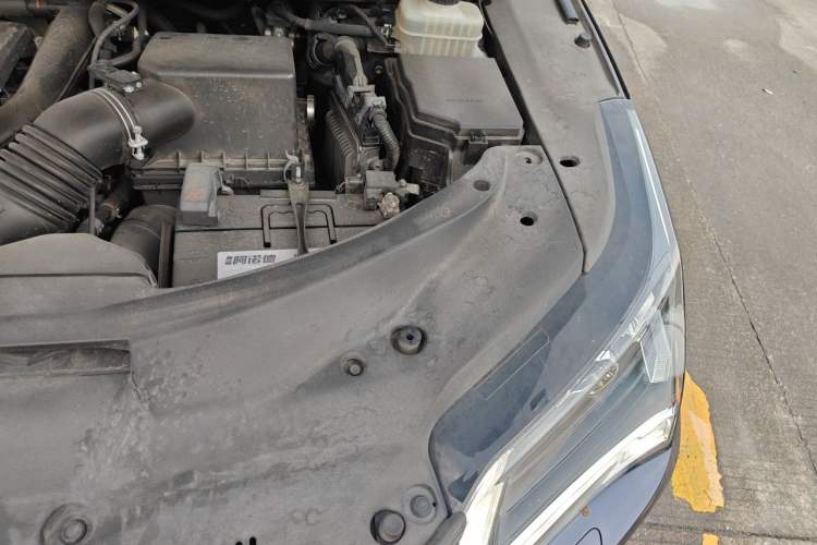 Used Lexus RX 2016 300 Two-Wheel Drive Elite Version China V Standard Engine Bay Left