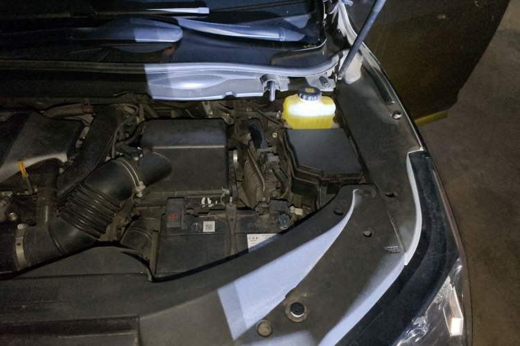 Used Lexus RX 2016 300 Two-Wheel Drive Comfort Edition China V Standard Engine Bay Left