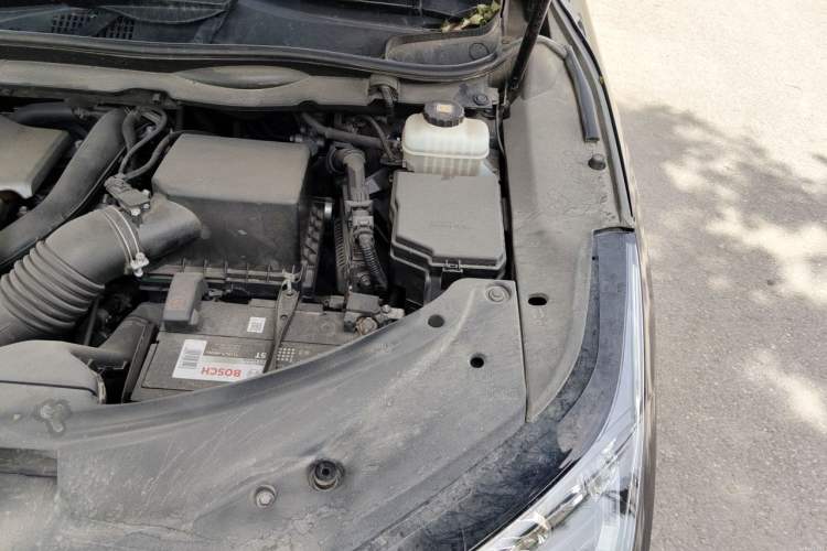 Used Lexus RX 2016 300 Two-Wheel Drive Elite Version China V Standard Engine Bay Left
