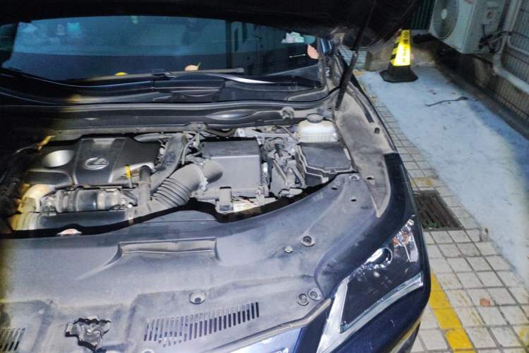 Used Lexus RX 2016 300 Two-Wheel Drive Elite Version China V Standard Engine Bay Left