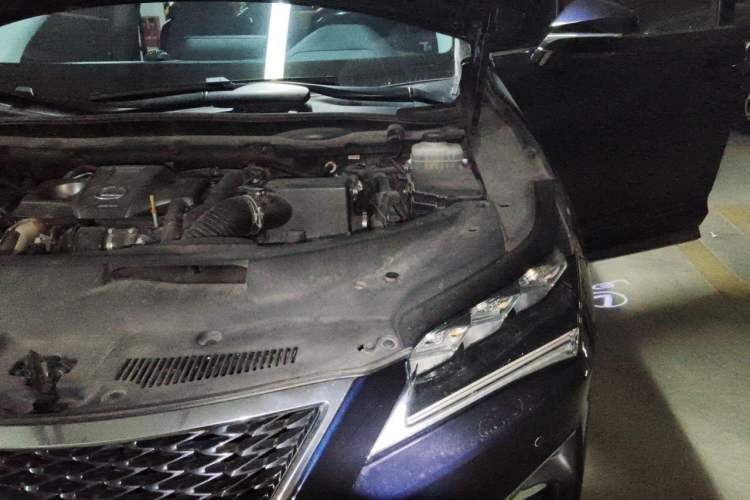 Used Lexus RX 2016 300 4x4 Elegant Edition China V-standard Engine Bay Left