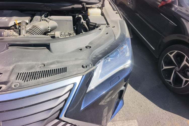 Used Lexus RX 2016 300 Two-Wheel Drive Elite Edition China VI Standard Engine Bay Left