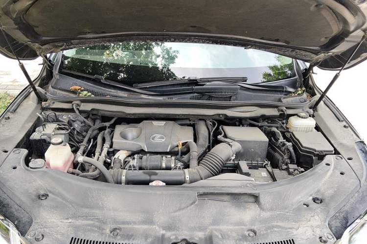 Used Lexus RX 2016 300 Two-Wheel Drive Elite Version China V Standard Engine Bay