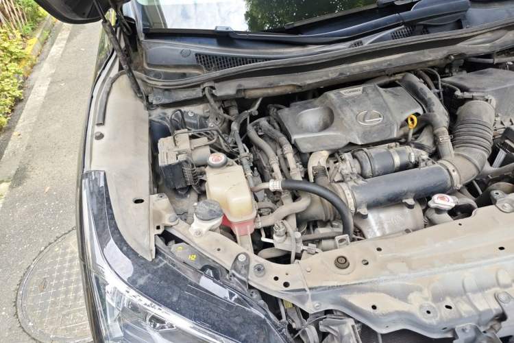 Used Lexus RX 2016 300 Two-Wheel Drive Comfort Edition China V Standard Engine Bay Right