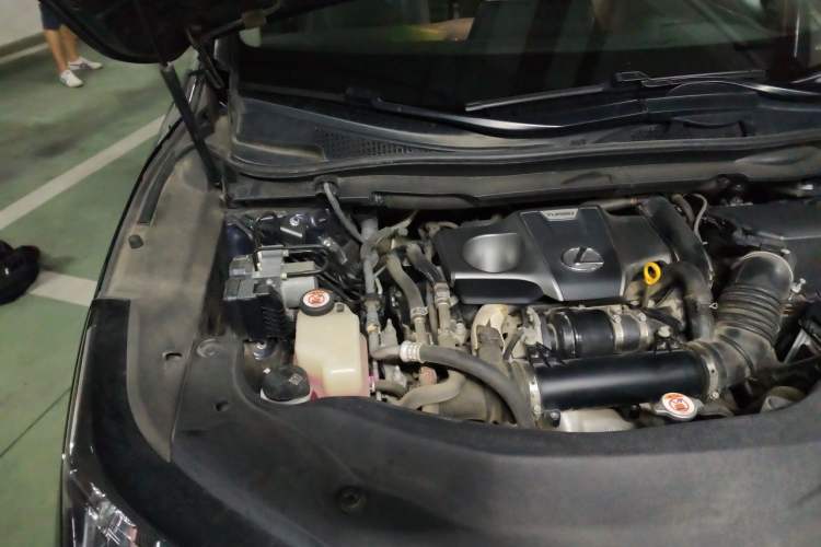 Used Lexus RX 2016 300 Two-Wheel Drive Elite Version China V Standard Engine Bay Right