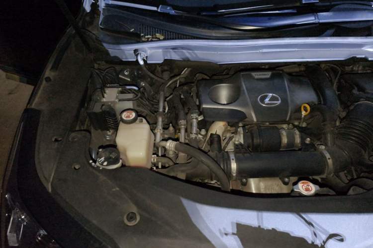 Used Lexus RX 2016 300 Two-Wheel Drive Comfort Edition China V Standard Engine Bay Right