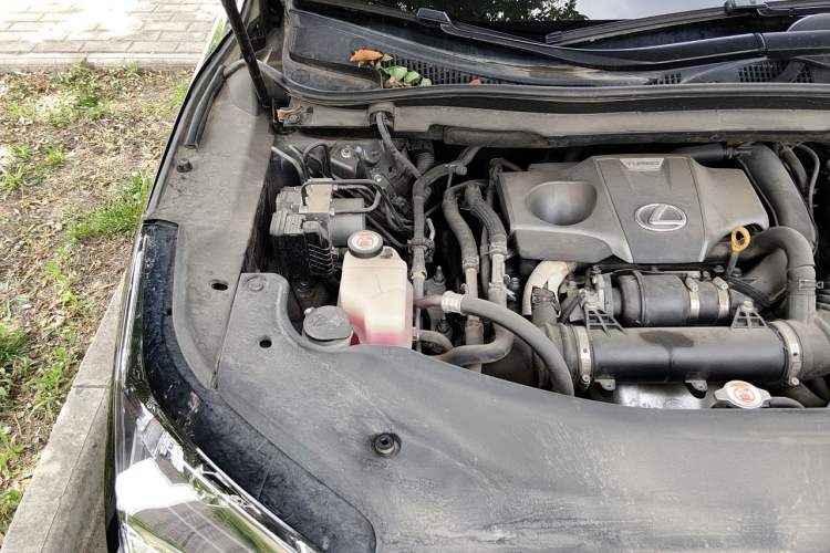 Used Lexus RX 2016 300 Two-Wheel Drive Elite Version China V Standard Engine Bay Right