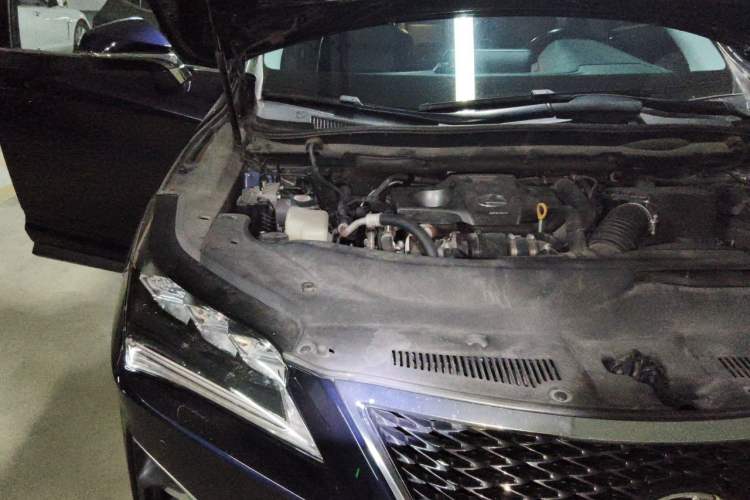 Used Lexus RX 2016 300 4x4 Elegant Edition China V-standard Engine Bay Right