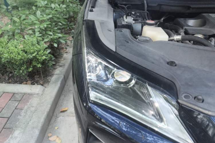 Used Lexus RX 2016 300 Two-Wheel Drive Comfort Edition China V Standard Engine Bay Right