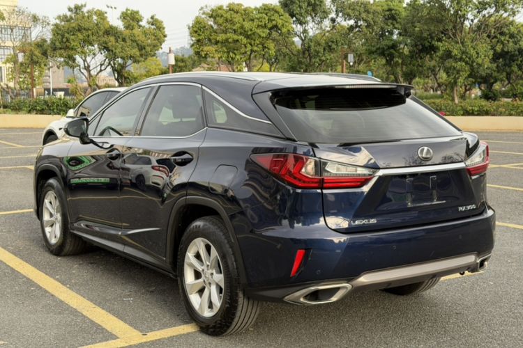 Used Lexus RX 2016 300 Two-Wheel Drive Elite Version China V Standard Exterior 6