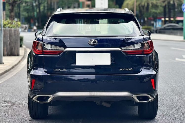 Used Lexus RX 2016 300 Two-Wheel Drive Elite Version China V Standard Exterior 8