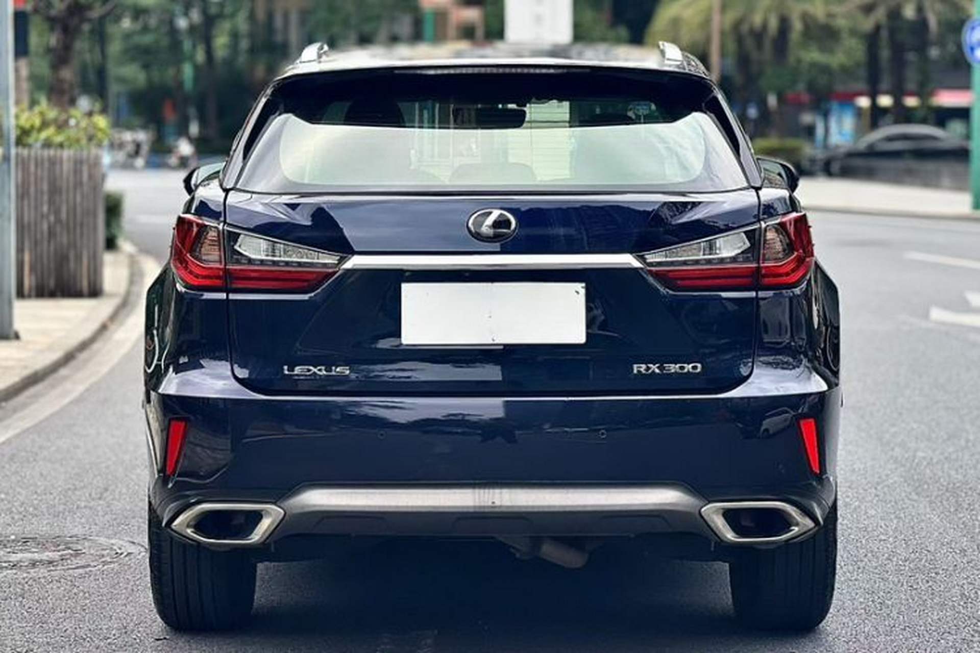 Used Lexus RX 2016 300 Two-Wheel Drive Elite Version China V Standard Exterior 8