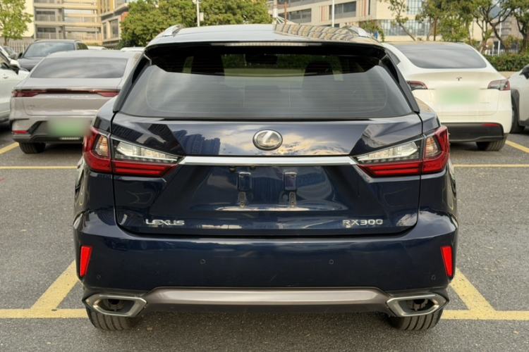 Used Lexus RX 2016 300 Two-Wheel Drive Elite Version China V Standard Exterior 9
