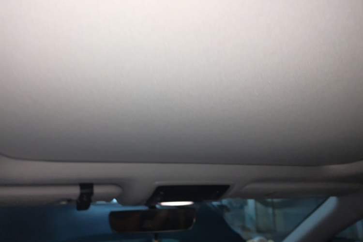 Used Lexus RX 2016 300 4x4 Elegant Edition China V-standard Headliner
