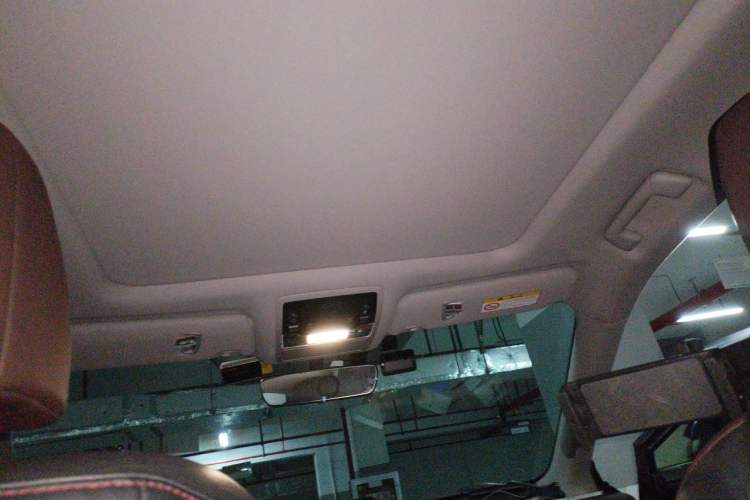 Used Lexus RX 2016 300 4x4 Elegant Edition China VI Headliner