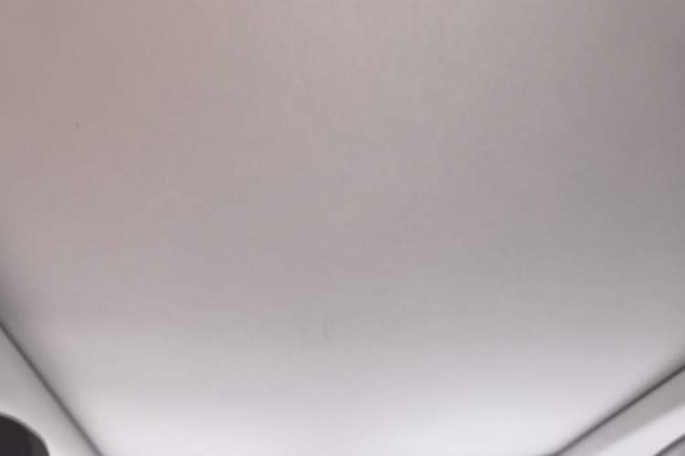 Used Lexus RX 2016 300 4x4 Elegant Edition China V-standard Headliner