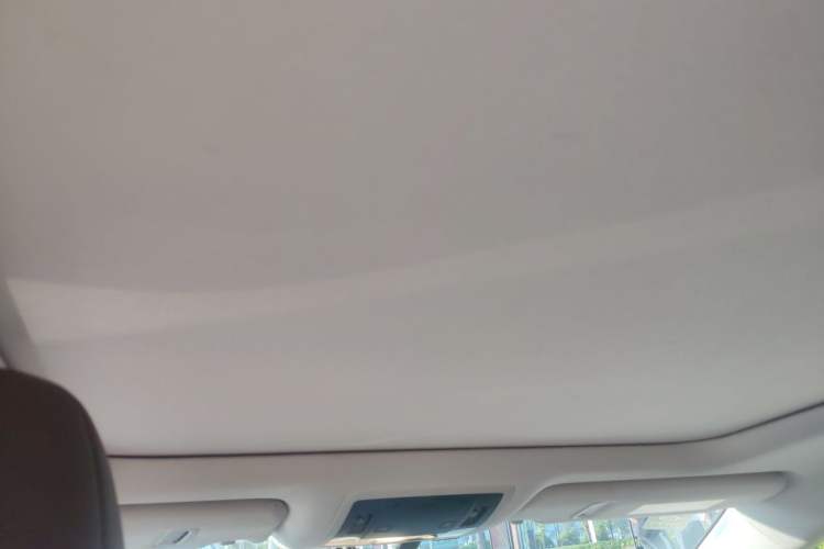 Used Lexus RX 2016 300 4x4 Elegant Edition China VI Headliner