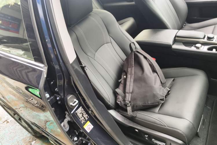 Used Lexus RX 2016 300 Two-Wheel Drive Elite Version China V Standard Right Front Seat