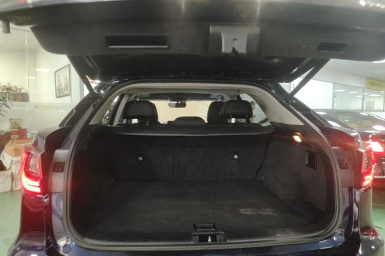 Used Lexus RX 2016 300 Two-Wheel Drive Elite Version China V Standard Trunk