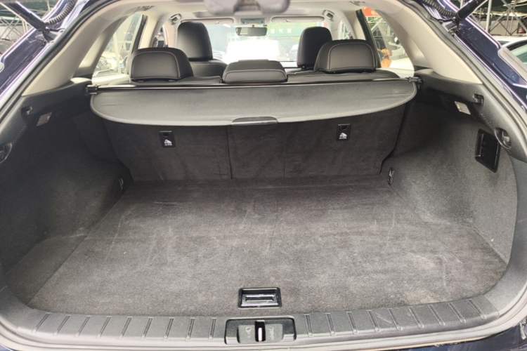 Used Lexus RX 2016 300 Two-Wheel Drive Elite Version China V Standard Trunk