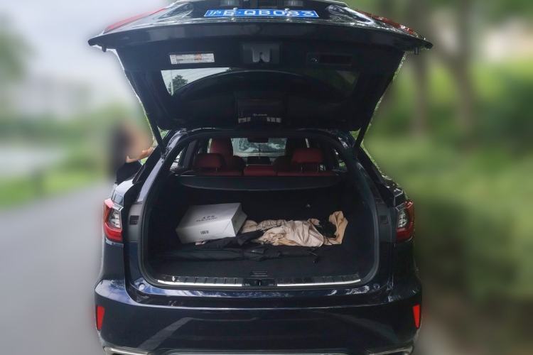 Used Lexus RX 2016 300 4x4 F SPORT Version China V Standard Trunk