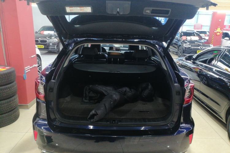 Used Lexus RX 2016 300 4x4 Elegant Edition China V-standard Trunk