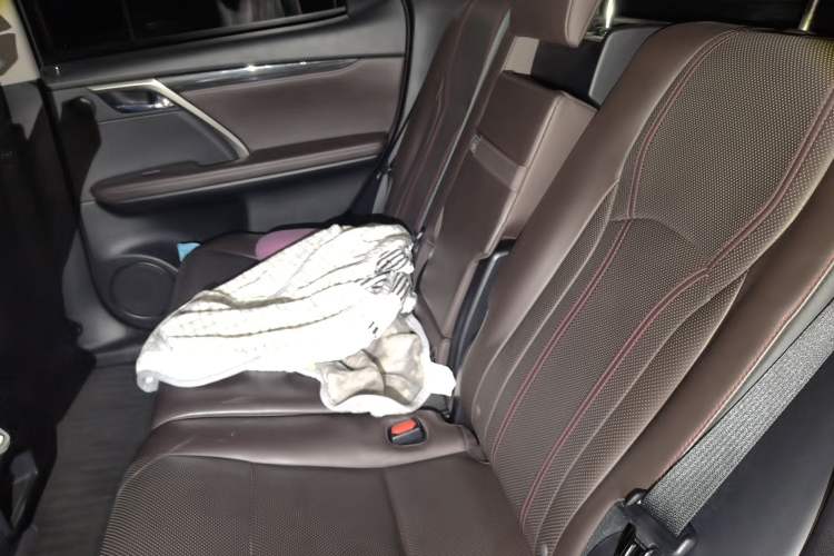 Used Lexus RX 2016 300 4x4 Elegant Edition China VI Left Rear Seat