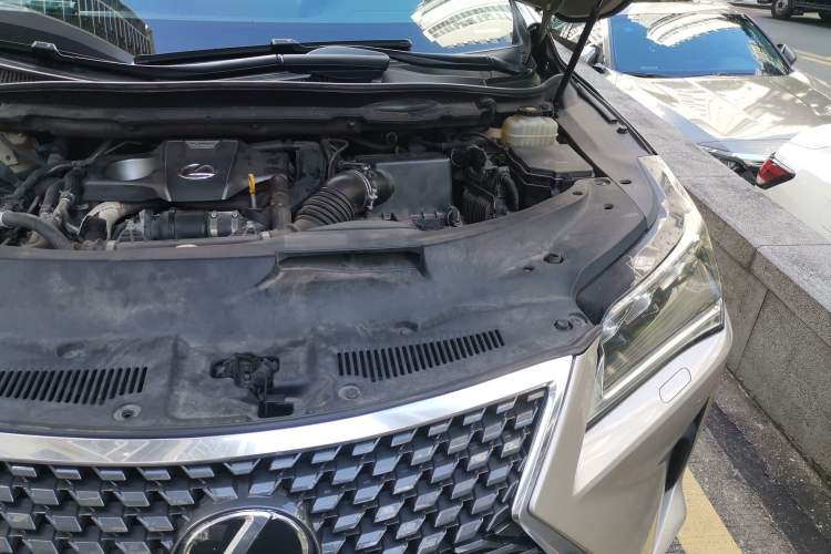 Used Lexus RX 2016 300 Two-Wheel Drive Elite Version China V Standard Engine Bay Left