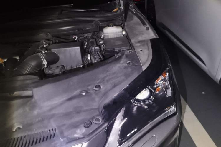 Used Lexus RX 2016 300 Two-Wheel Drive Elite Version China V Standard Engine Bay Left