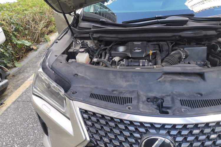 Used Lexus RX 2016 300 Two-Wheel Drive Elite Version China V Standard Engine Bay Right
