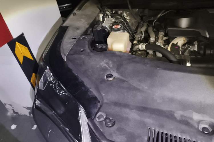 Used Lexus RX 2016 300 Two-Wheel Drive Elite Version China V Standard Engine Bay Right