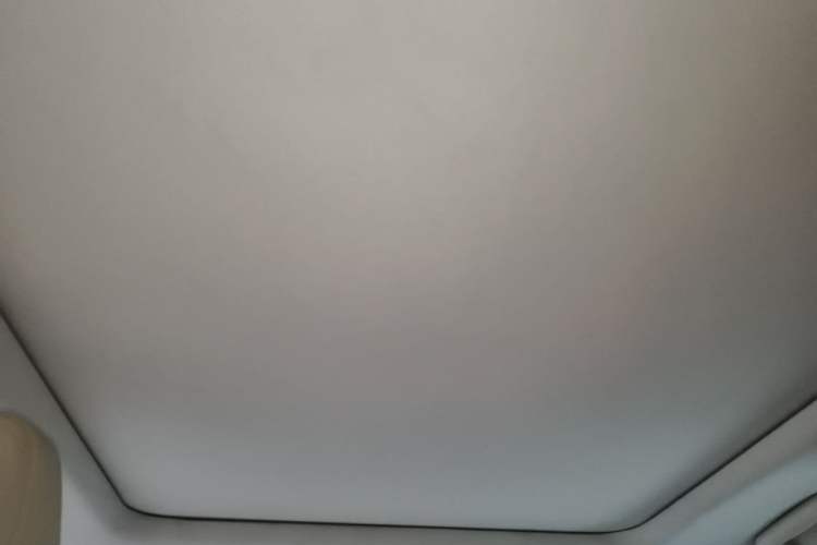 Used Lexus RX 2016 300 4x4 Elegant Edition China V-standard Headliner