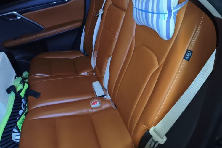 Used Lexus RX 2016 300 Two-Wheel Drive Elite Version China V Standard Left Rear Seat
