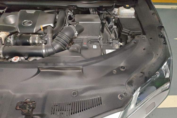 Used Lexus RX 2016 300 Two-Wheel Drive Elite Version China V Standard Engine Bay Left