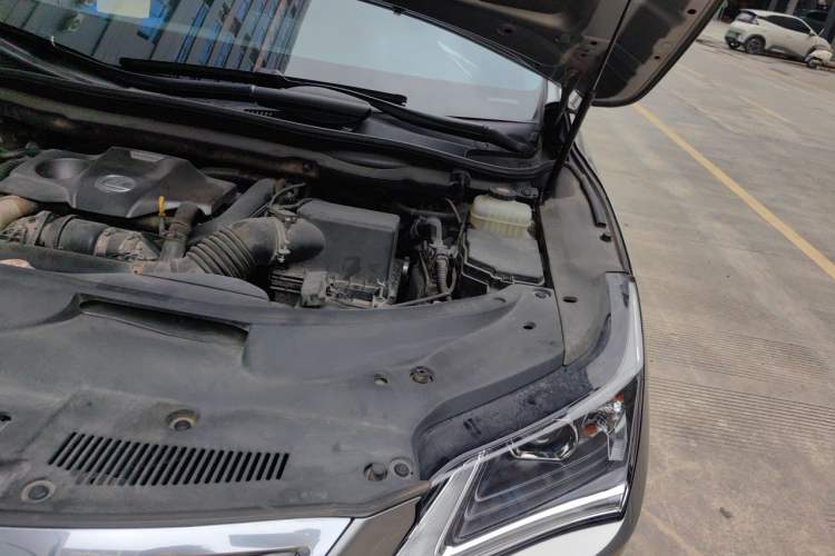Used Lexus RX 2016 300 Two-Wheel Drive Elite Version China V Standard Engine Bay Left