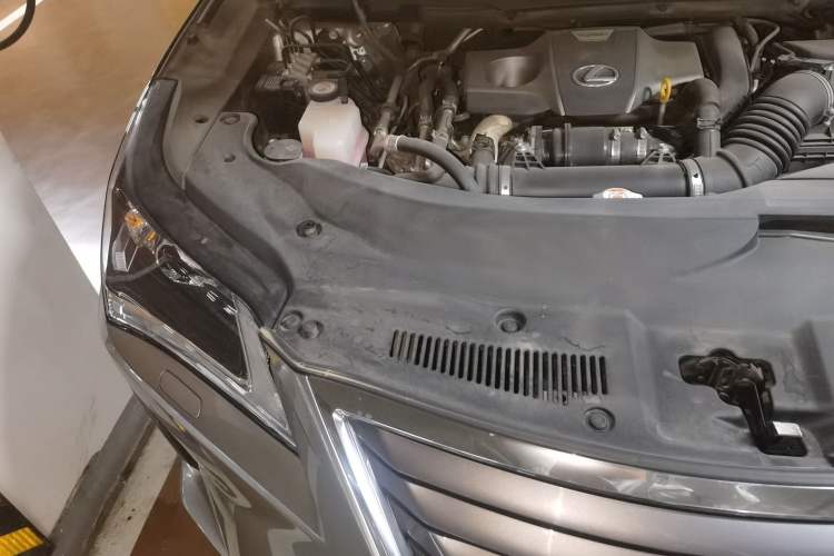 Used Lexus RX 2016 300 Two-Wheel Drive Elite Version China V Standard Engine Bay Right