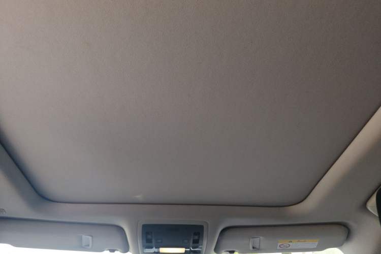 Used Lexus RX 2016 300 4x4 Elegant Edition China VI Headliner