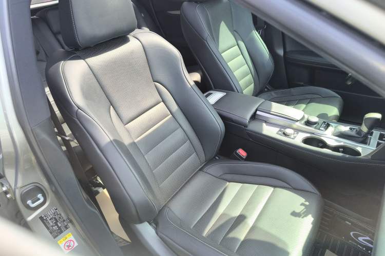 Used Lexus RX 2016 300 4x4 F SPORT Version China V Standard Right Front Seat