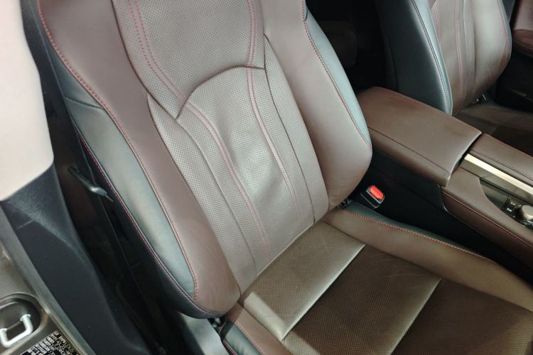 Used Lexus RX 2016 300 Two-Wheel Drive Comfort Edition China VI Standard Right Front Seat