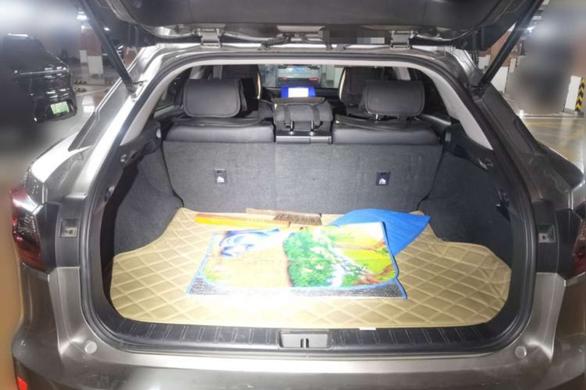 Used Lexus RX 2016 300 Two-Wheel Drive Elite Version China V Standard Trunk