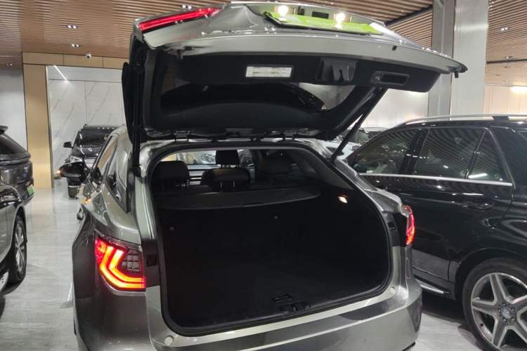 Used Lexus RX 2016 300 4x4 Elegant Edition China V-standard Trunk