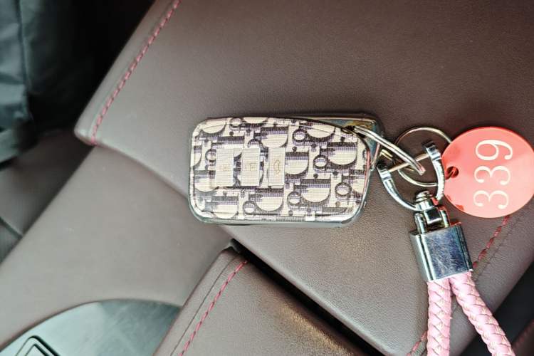 Used Lexus RX 2016 300 4x4 Elegant Edition China VI Vehicle Key