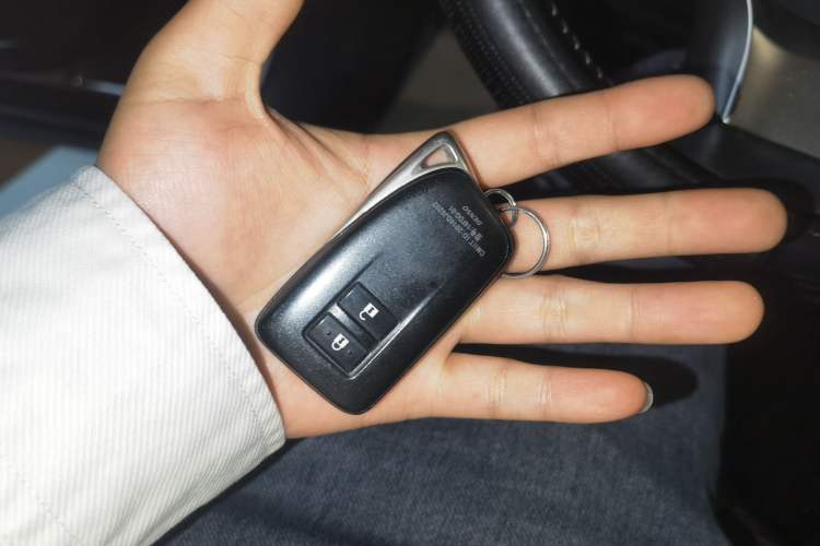 Used Lexus RX 2016 300 Two-Wheel Drive Elite Version China V Standard Vehicle Key